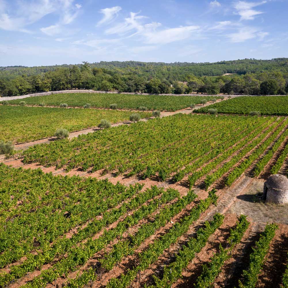 Paysage du vignoble de Peyrassol, créant des vins rosés de Provence