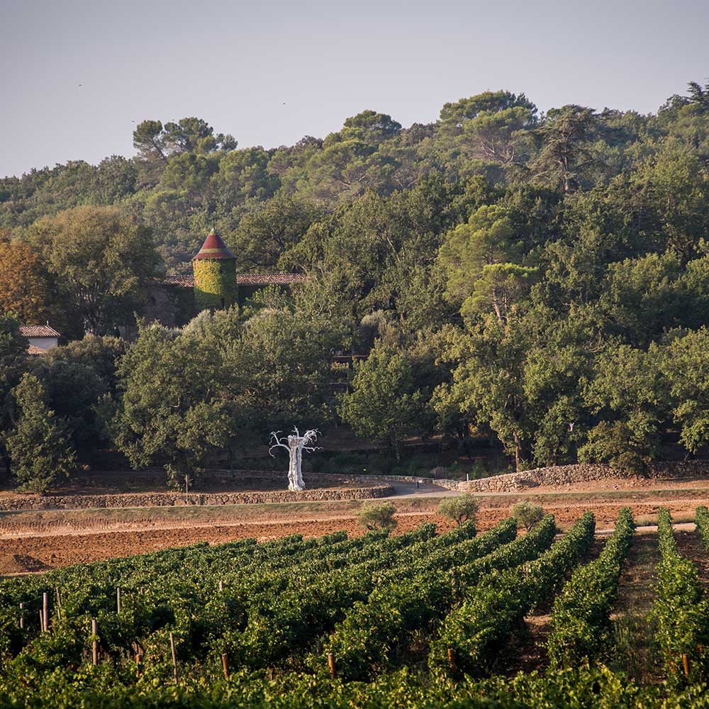 Paysage du vignoble de Peyrassol, créant des vins rosés de Provence